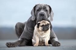 爱游戏体育官网-逆转与接管，当马刺的坚韧遇上贝恩的锋芒