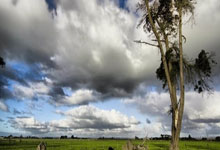 爱游戏官方-关于亚洲足球赛事将在全球球迷中掀起热潮的信息