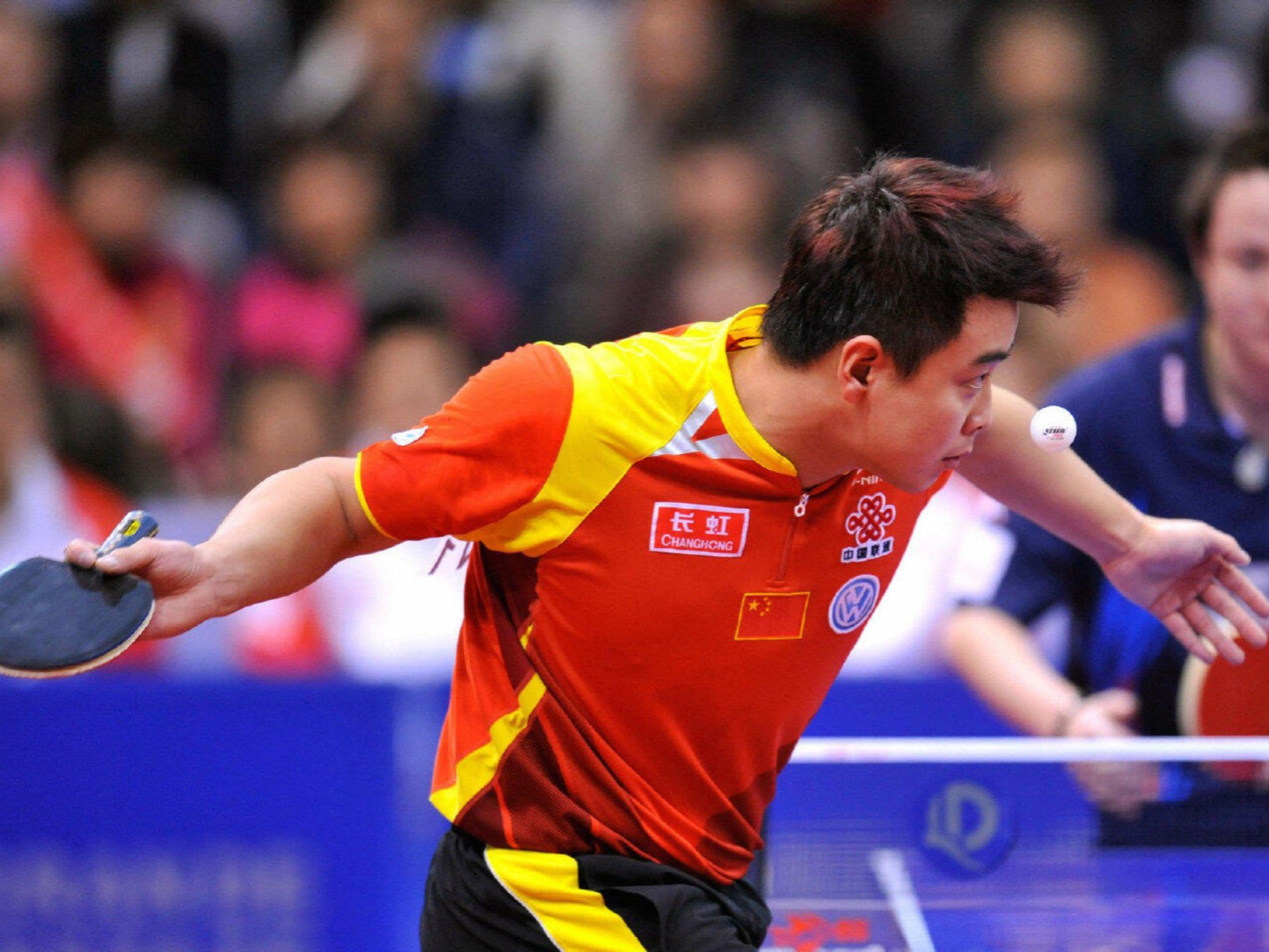 包含瑞典乒乓球队强势韩国乒乓球队，王皓惊艳世界的词条