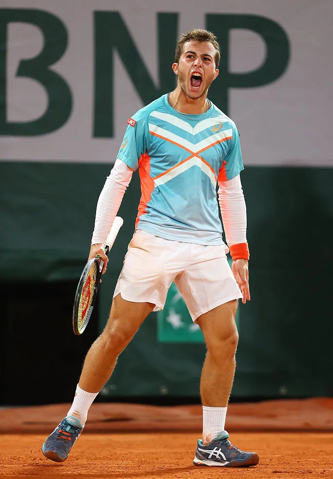 戴维斯杯绝杀温网，蒂姆惊艳四座的简单介绍