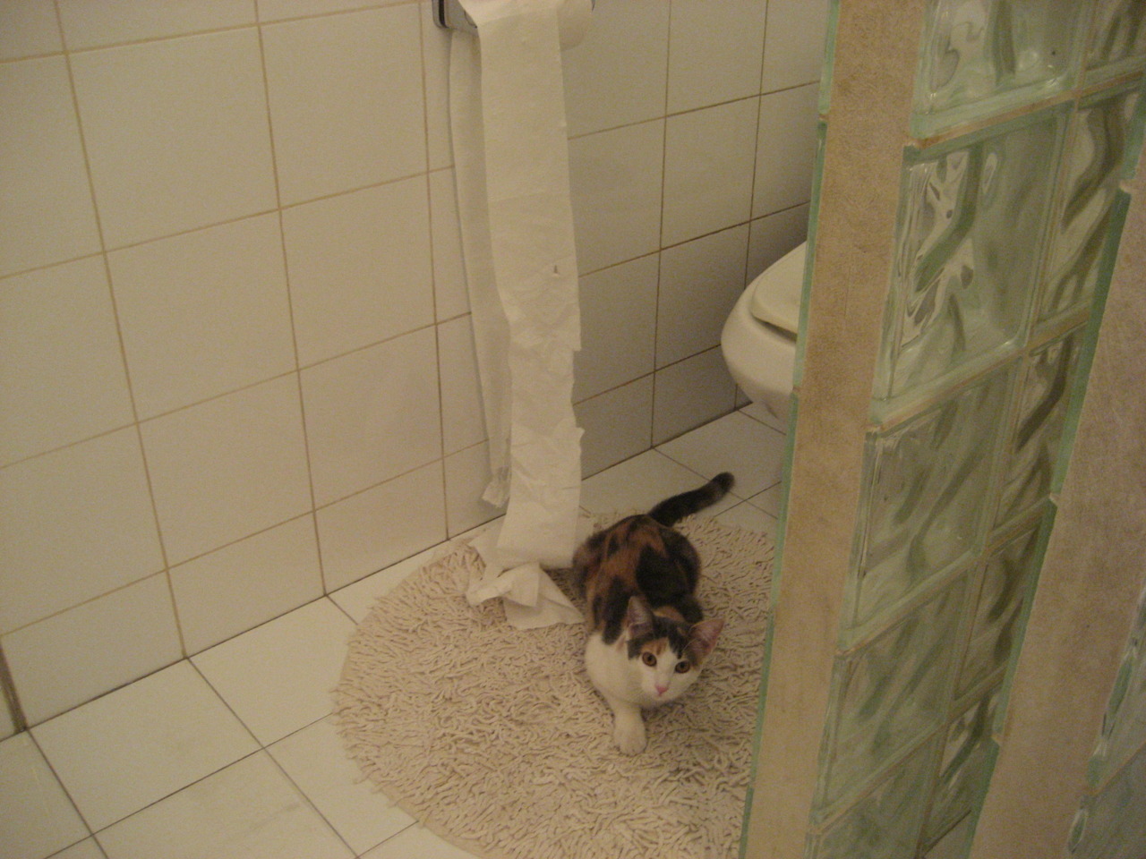 当吉林冰封犹他爵士,霍勒迪,那个在冰与火中雕刻大场面的男人