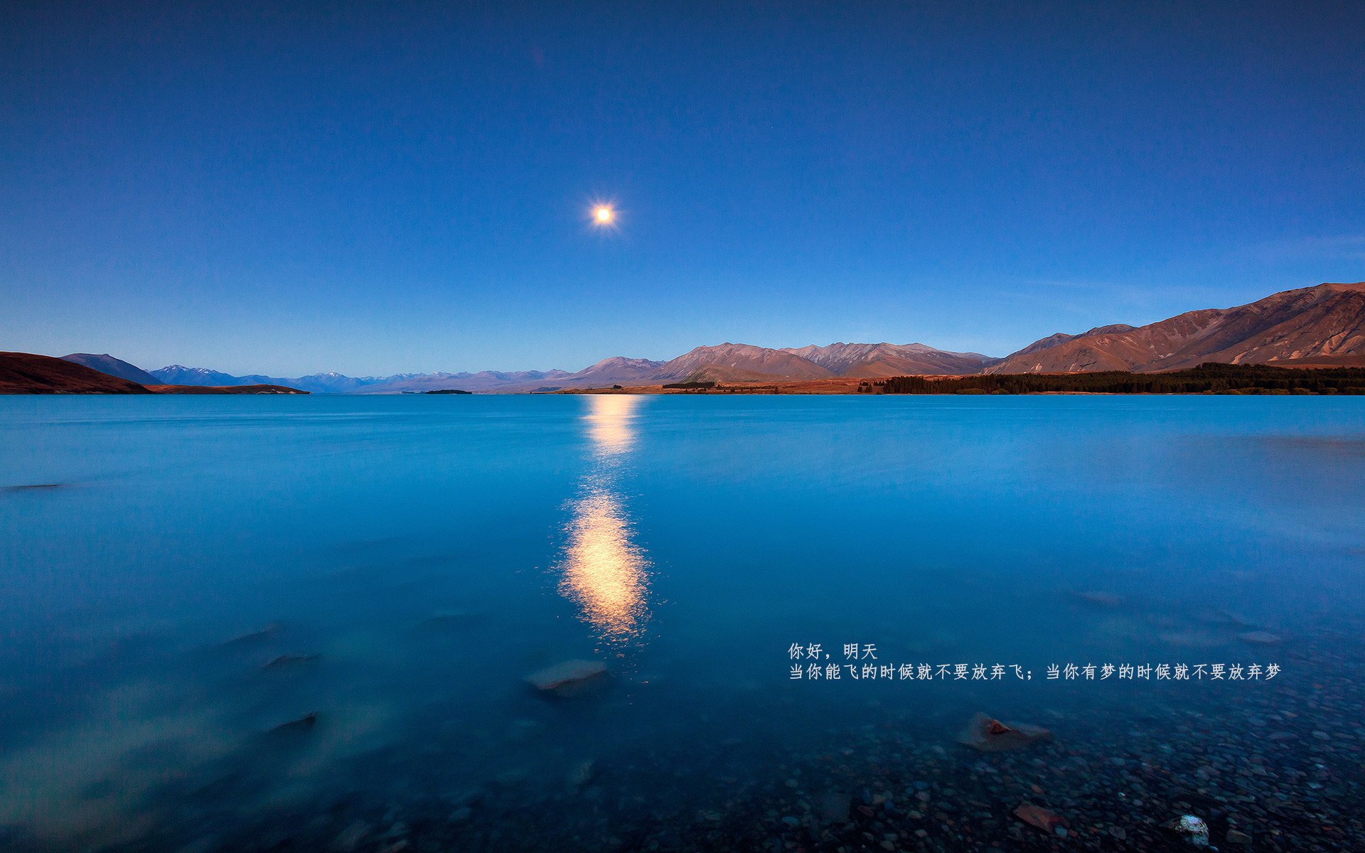 关键时刻的福克斯，领袖光芒照亮鹈鹕狂胜之夜